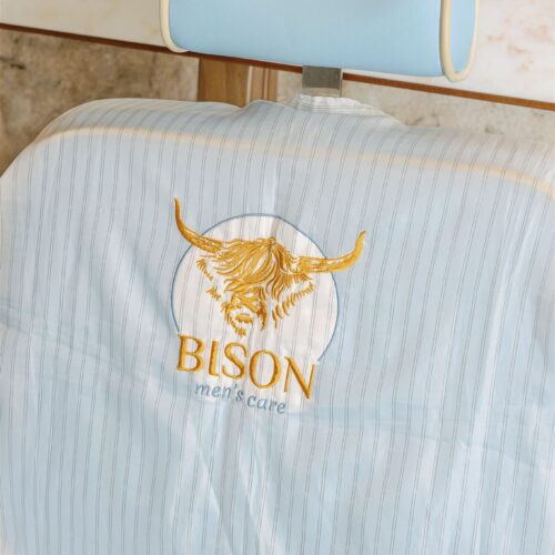 Bison